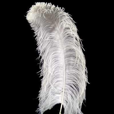 OSTRICH FEATHER PLUMES ALL LENGTHS ALL COLORS(16"-18")-OST5