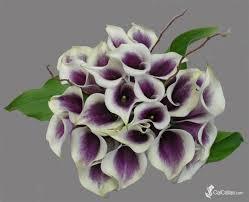 Real touch calla lily Medium wedding decor (Purple)-SB113