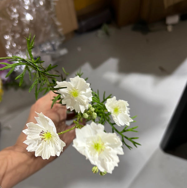 New Mini White wild Cross cosmos