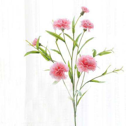 Carnation (Pink) 5215BDB11 - Viva La Rosa