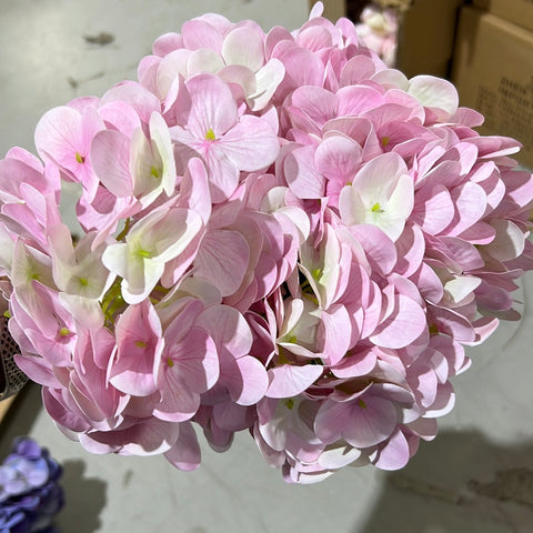 New Artificial Flower Light Pink Hydrangea Bunch 5 head