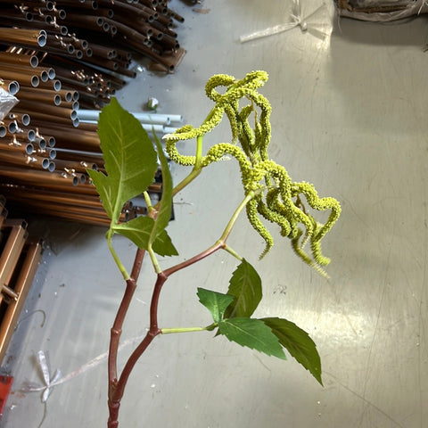 New Green Amaranthus Flower single stem filler hanging