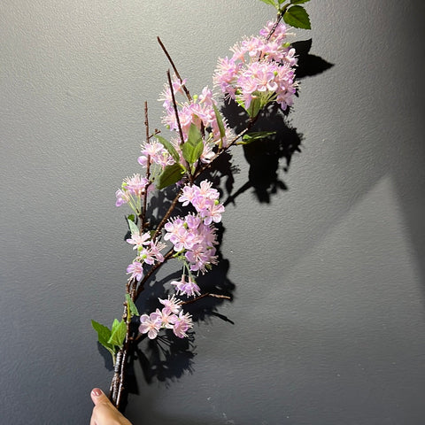 New Lilac Single North America Begonia Spray