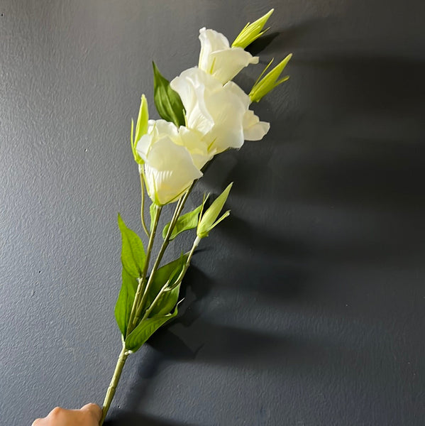 New White Lisianthus Eustoma Spray