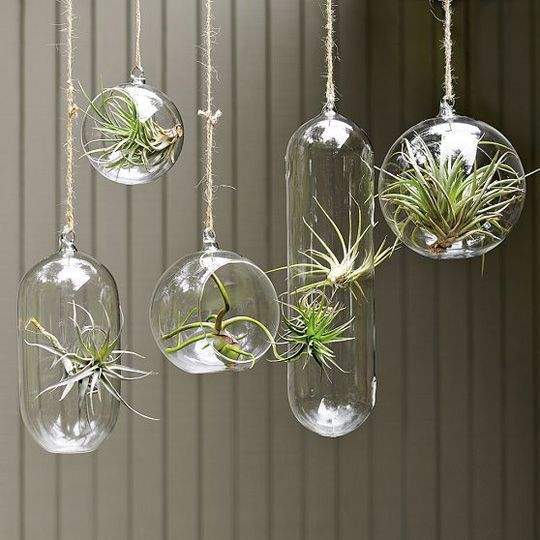 Hanging Glass Vase 3-4" Round Planter Bubble Ceiling Ball Terrarium - Richview Glass Wedding Supplies