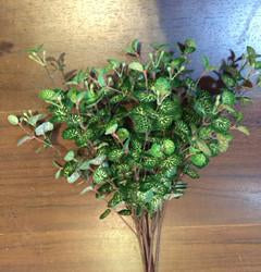 Begonia leaf for Wedding home decor greenery - Viva La Rosa