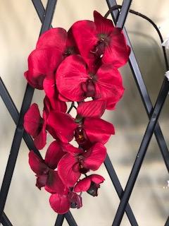 Burgundy PHALAENOPSIS ORCHID ARTIFICIAL FLOWER - Viva La Rosa