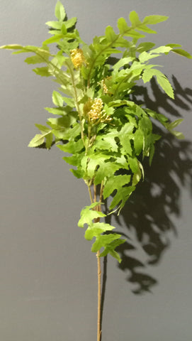 Long stem Green Fern leaf (with cut) With Berry Spray for Wedding decor greenery