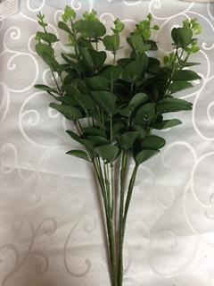 Eucalyptus leaf for Wedding home decor (Green)  EUC1 - Viva La Rosa