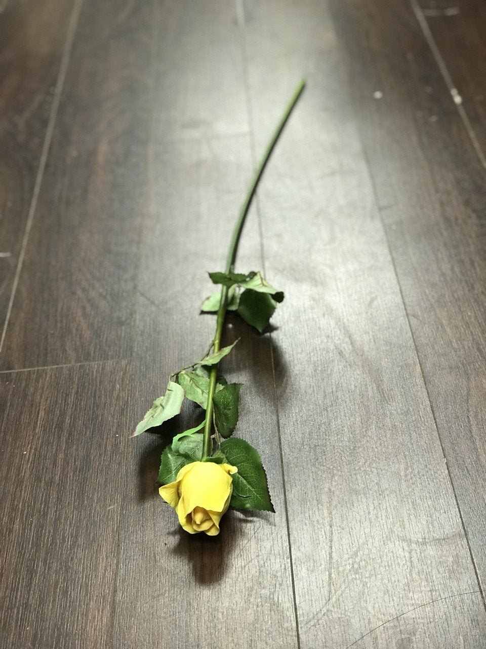 ROSE BUD - 【y.green】 Q_CARN_SS2018PK__16018.