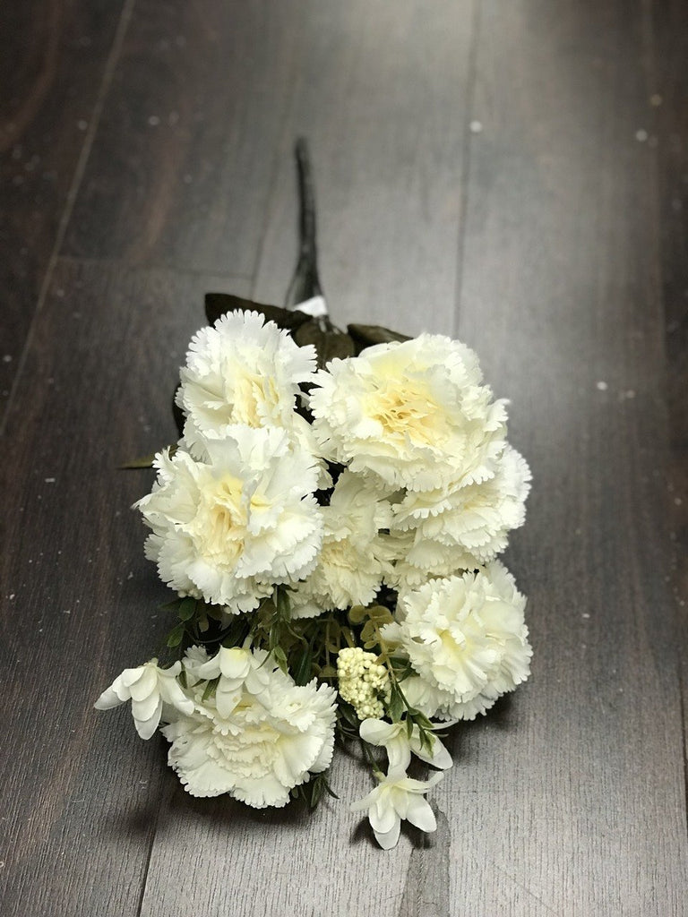 Big stem Carnation - Viva La Rosa
