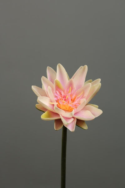 Artificial Flower Water Lily real touch floramatique SB005 (Yellow) -REA1-7 - Viva La Rosa