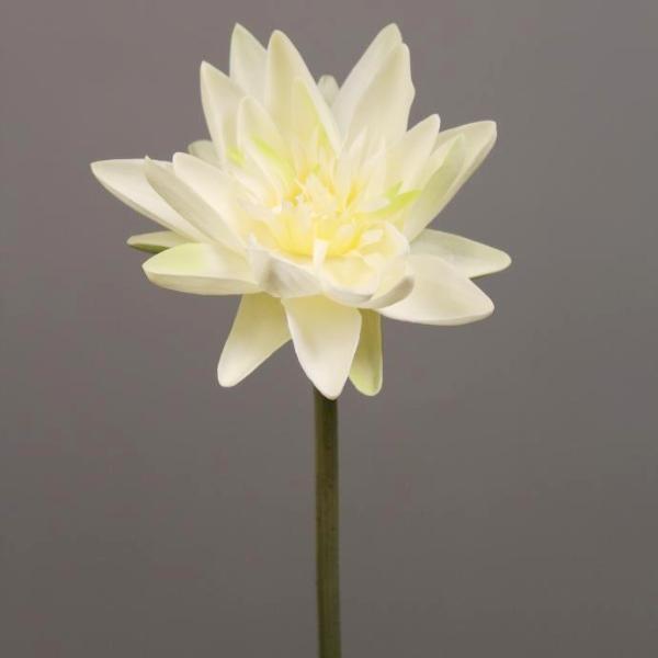 Artificial Flower Water Lily real touch floramatique SB005 (Ivory) -REA1-5 - Viva La Rosa