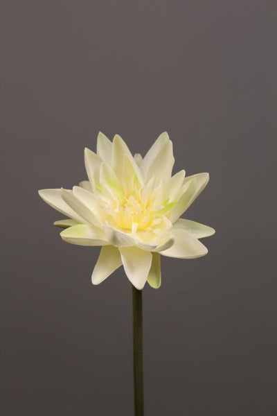 Artificial Flower Water Lily real touch floramatique SB005 (White) -REA1-4 - Viva La Rosa