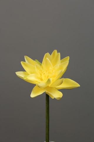Artificial Flower Water Lily real touch floramatique SB005 (Yellow) -REA1-7 - Viva La Rosa