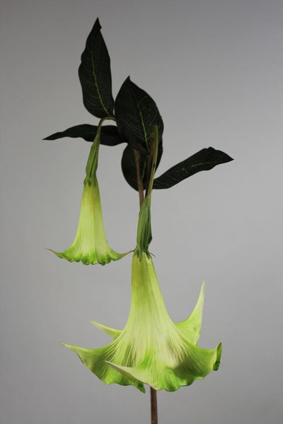 Artificial Flower Angel's Trumpet real touch floramatique SB136 49"(Green)-ART1-27 - Viva La Rosa