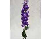 Artificial Silk flower Delphinium (dark purple)- DEL1 - Viva La Rosa