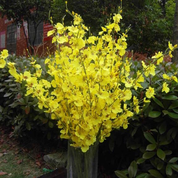 Artificial Flower yellow Oncidium Dancing Lady orchid silk flower (ONC1-1) - Viva La Rosa