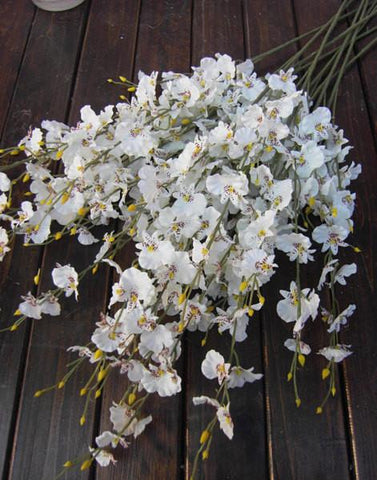 Artificial Flower white Oncidium Dancing Lady orchid silk flower (ONC1) - Viva La Rosa