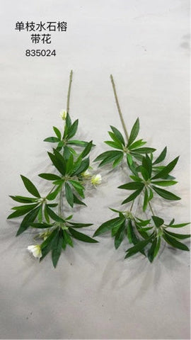 New Small Elaeocarpus Hainanensis Oliver greenery leaf