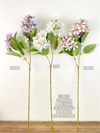 New White Common Lilacs