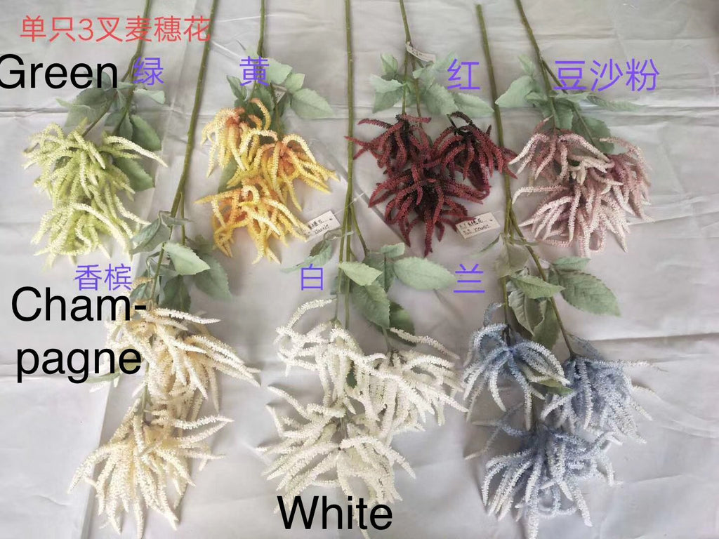 White Amaranthus Flower single stem filler