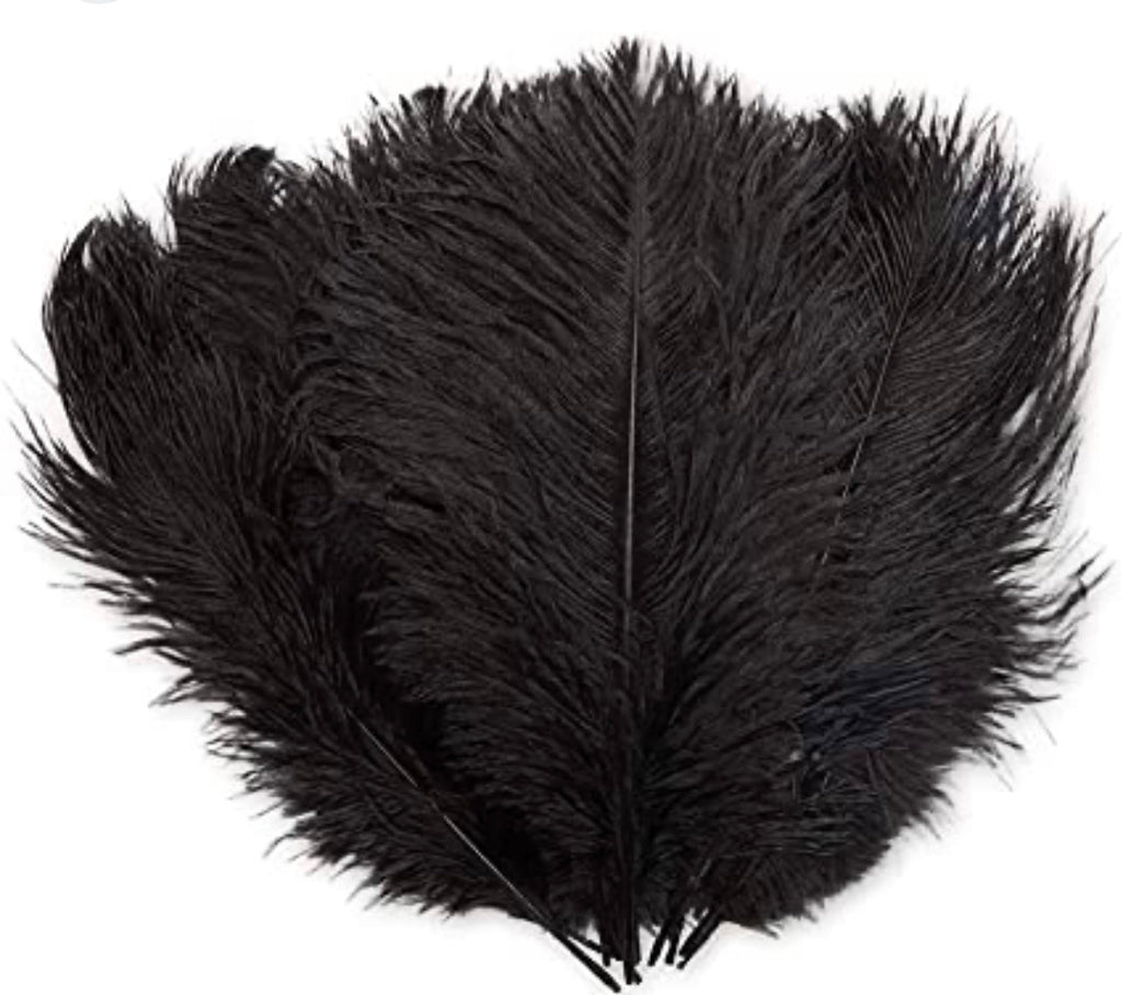 Black OSTRICH FEATHER PLUMES(14"-16")