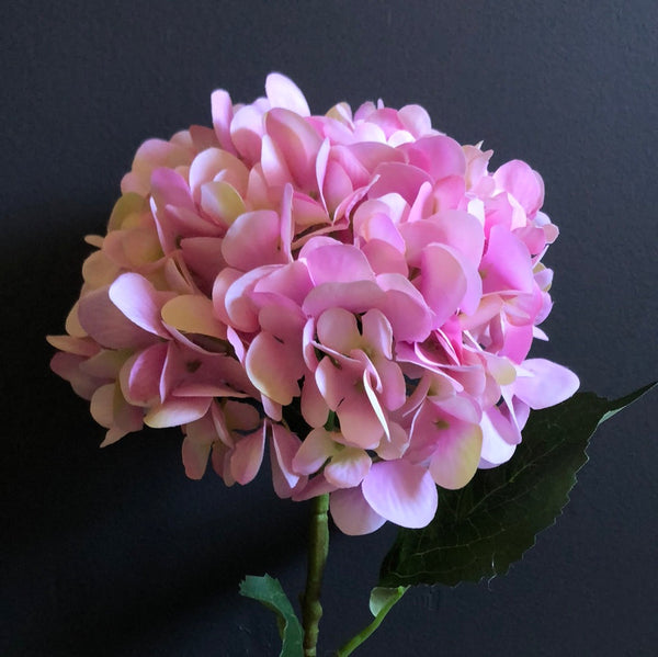 Pink Asian Hydrangea Spray Single Stem