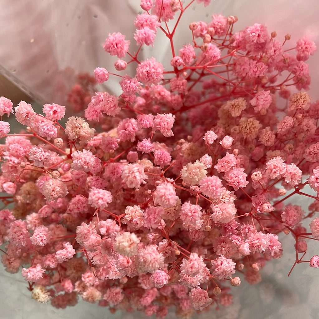 Pink babys breath daisies bouquet on Craiyon