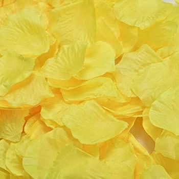 Yellow Silk Rose Petal