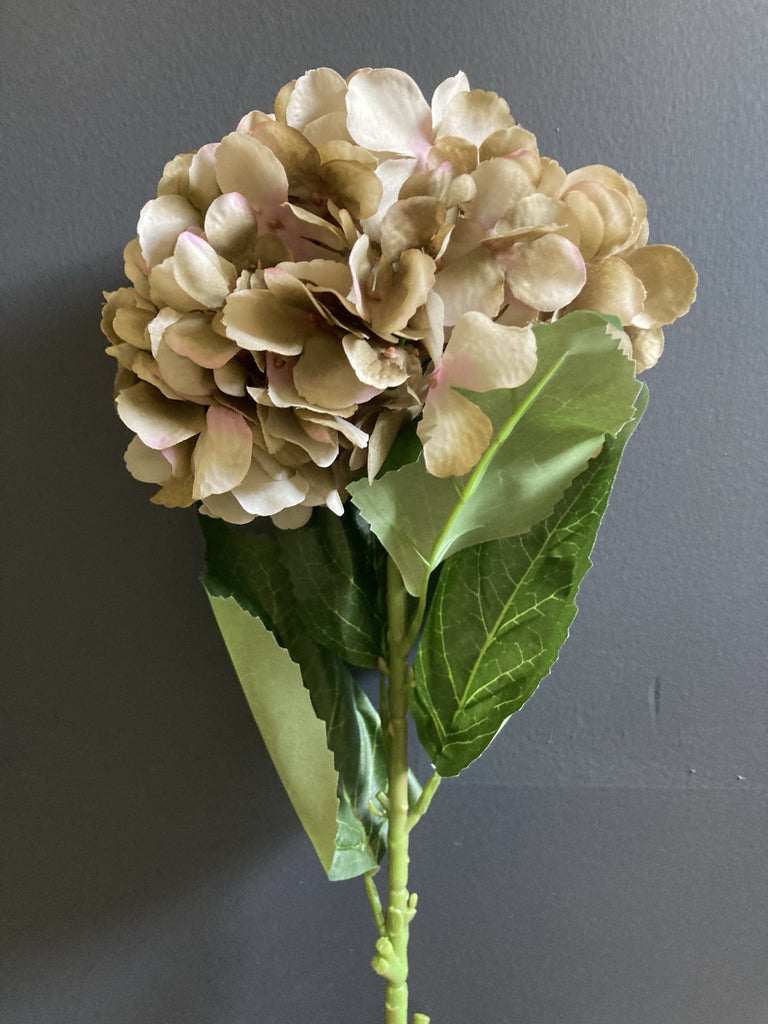 French Hydrangea Coffee Spray Single Stem