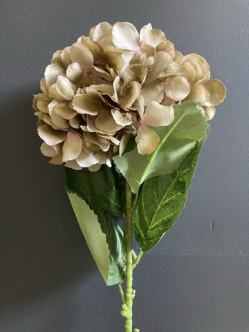 French Hydrangea Coffee Spray Single Stem