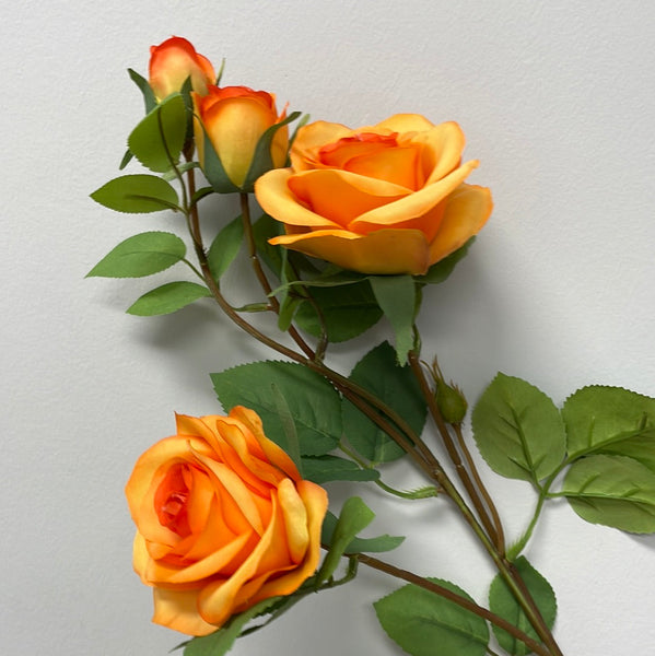 Orange Single Stem RocoCo Rose