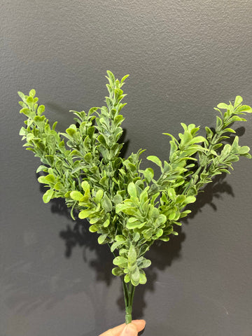 Green boxwood leaf for Wedding home decor