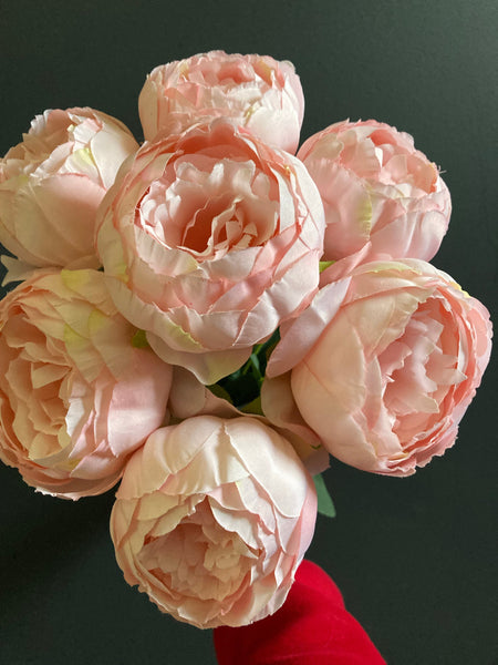 7x Peonies bunch Pink