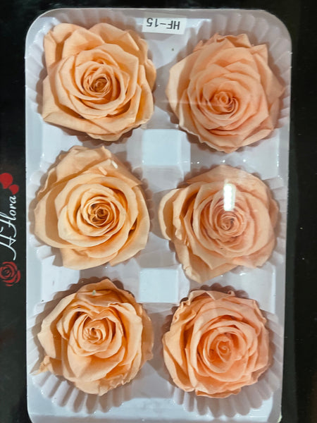 Preserved Rose Head Chocolate (box of 8)