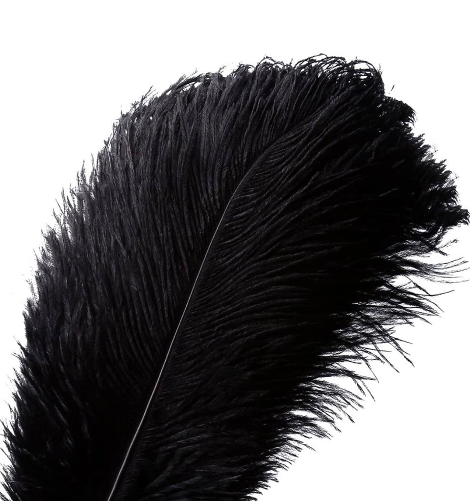 OSTRICH FEATHER PLUMES (22-24” )black