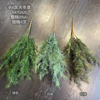White Green (middle)Chinese asparagus Grass bunch leaf for Wedding home decor