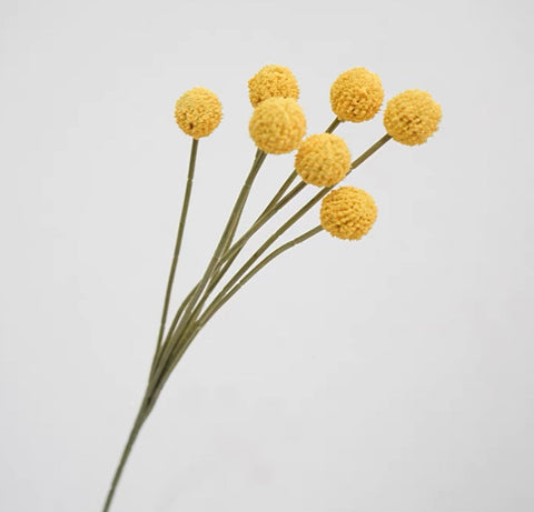 Craspedia yellow bud Single Stem yellow Pom ball artificial flower filler