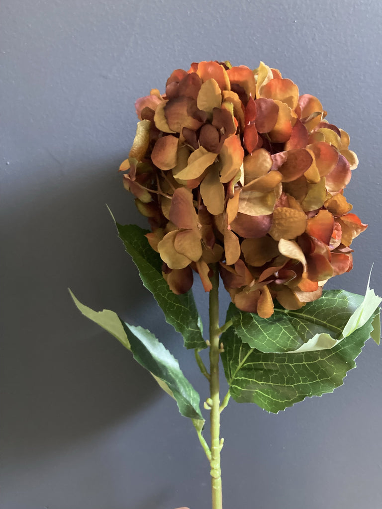 French Hydrangea Orange Spray Single Stem