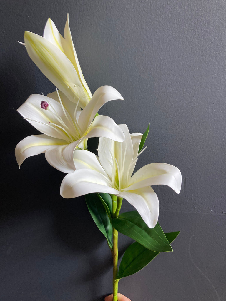 stargazer white lily NEW White Soft Touch Stargazer Lily