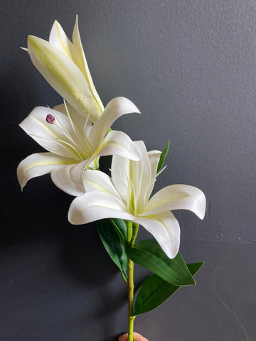 NEW White Soft Touch Stargazer Lily