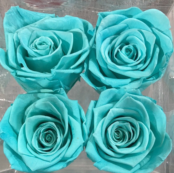 Preserved Rose in acrylic box with drawer Tiffany blue (box of 4)