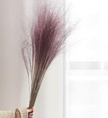 Purple Dried grass bunch 30”(50/bundle) Muhlenbergia capillaris