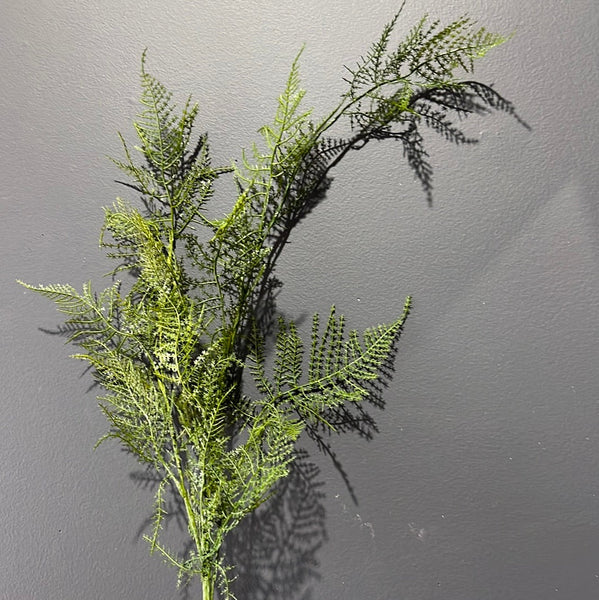 Long stem Dark green Asparagus fern Spray greenery
