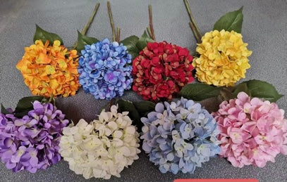 Pink Asian Hydrangea Spray Single Stem
