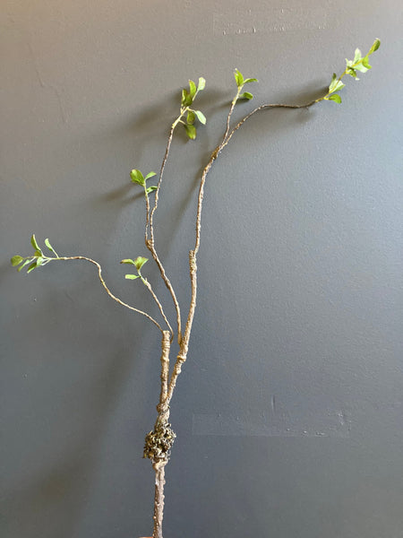 Faux LONG branch Brown with green leaf