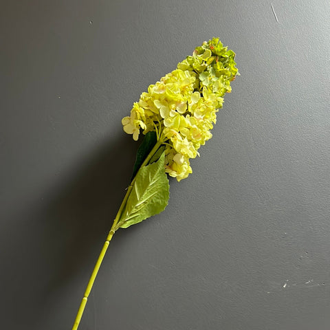 Burnt edge cone Hydrangea Single Stem spray(Green)