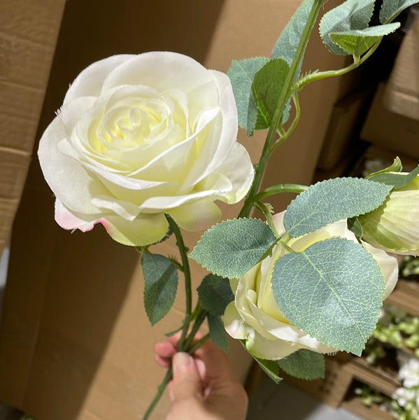 Single Stem RocoCo Rose white