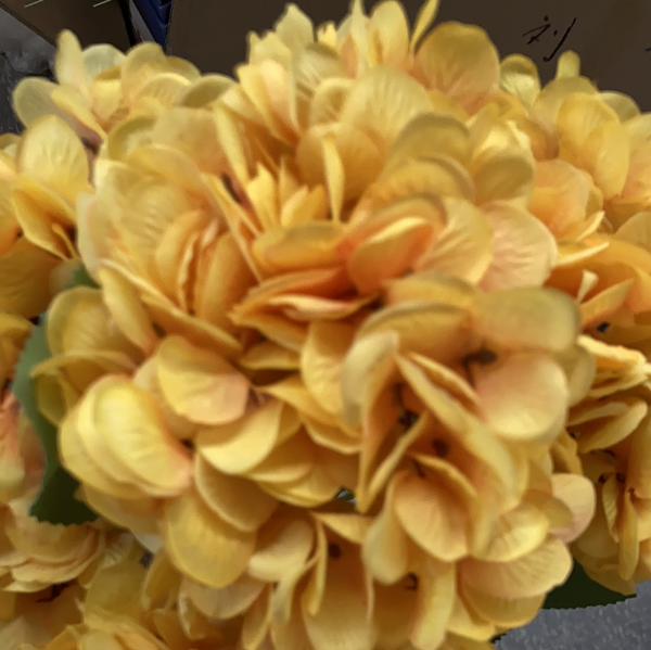 Bright Yellow Hydrangea Bunch 5 head silk
